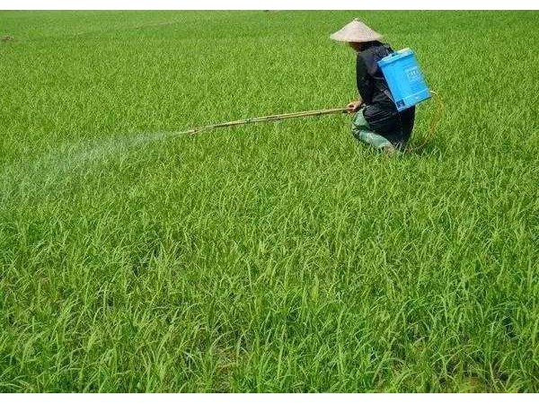 纳米研磨丝瓜视频黄色在线播放农药新剂型产品